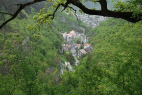 Borjomi Central Park Apartment